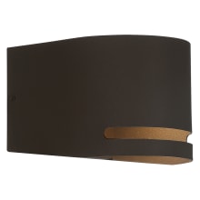 Vivre 5" Tall LED Wall Sconce