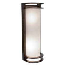 Nevis 17" Tall LED Outdoor Wall Sconce - 3000K