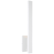 Haus 21" Tall LED Wall Sconce