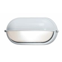 Single Light Down Lighting Outdoor Wall Sconce from the Nauticus Collection