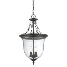 3 Light Outdoor Pendant from the Belle Colllection