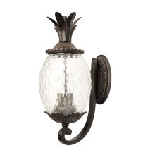 2 Light 18" Height Pineapple Outdoor Wall Sconce from the Lanai Collection