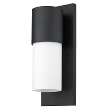 Cooper Single Light 16" Tall Outdoor Wall Sconce