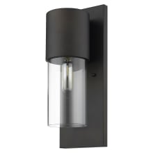 Cooper Single Light 16" Tall Outdoor Wall Sconce with Clear Glass Shade