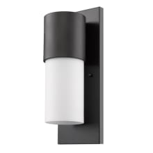 Cooper Single Light 16" Tall Outdoor Wall Sconce