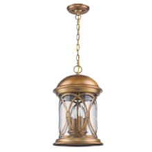 Lincoln 4 Light 11" Wide Outdoor Pendant with Seeded Glass Shade