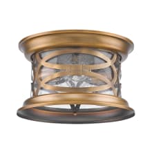 Lincoln 2 Light 11" Wide Outdoor Flush Mount Drum Ceiling Fixture with Seeded Glass Shade