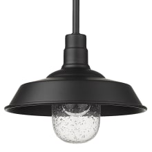 Burry Outdoor 10" Wide Pendant with Semi Flush Mount Conversion Kit