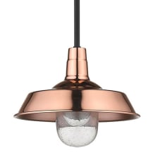 Burry Outdoor 10" Wide Pendant with Semi Flush Mount Conversion Kit
