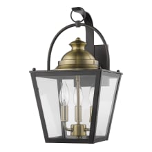 Savannah 3 Light 17" Tall Outdoor Wall Sconce