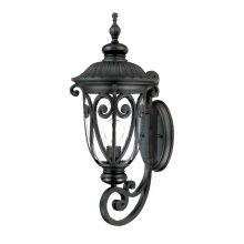 Naples 1 Light 22.75" Height Outdoor Wall Sconce