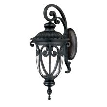 Naples 1 Light Outdoor Wall Sconce with Hand-Blown Clear Seeded Glass