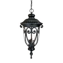 Naples 3 Light 24.5" Height Outdoor Pendant