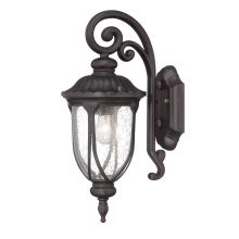 Laurens 1 Light Outdoor Wall Sconce with Clear Seeded Glass
