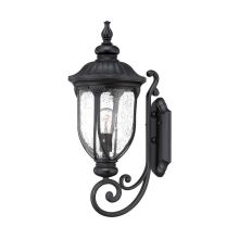 Laurens 1 Light Outdoor Wall Sconce with Clear Seeded Glass