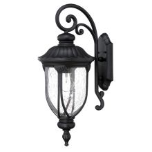 Laurens 1 Light Outdoor Lantern Wall Sconce with Seedy Glass Shade