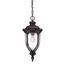 Laurens 1 Light Outdoor Lantern Pendant with Seedy Glass Shade