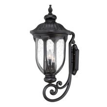 Laurens 3 Light Outdoor Wall Sconce with Clear Seeded Glass