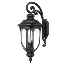 Laurens 3 Light Outdoor Wall Sconce with Clear Seeded Glass