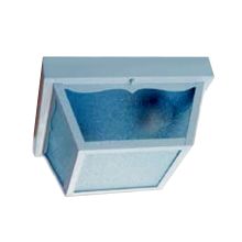 Builder's Choice 2 Light 10" Width Outdoor Flushmount Ceiling Fixture