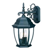 Wexford 3 Light 17.5" Height Outdoor Wall Sconce