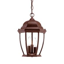 Wexford 3 Light 14.5" Height Outdoor Pendant