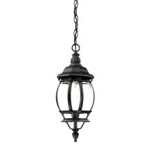 Chateau 1 Light 17" Height Outdoor Pendant