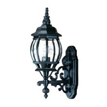 Chateau 1 Light 20" Height Outdoor Wall Sconce