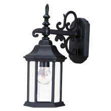 Madison 1 Light Outdoor Wall Sconce with Clear Seeded Glass