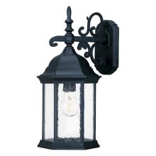 Madison 1 Light Outdoor Wall Sconce with Clear Seeded Glass