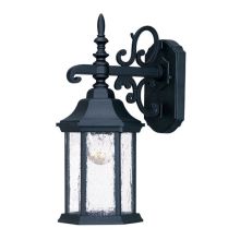 Madison 1 Light Outdoor Lantern Wall Sconce with Seedy Glass Shade