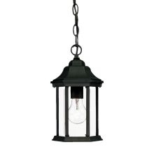 Madison 1 Light Outdoor Pendant with Clear Seeded Glass