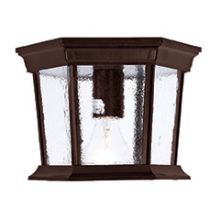 Dover 1 Light Outdoor Ceiling Fixture with Clear Seeded Glass