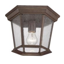 Dover 1 Light Outdoor Flush Mount Ceiling Fixture with Seedy Glass Shade