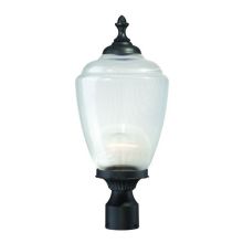 Acorn Single Light 9" Wide Outdoor Post Light with Acorn Glass Shade