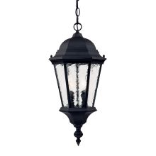 Telfair 2 Light 20" Height Outdoor Pendant