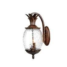 2 Light 18" Height Pineapple Outdoor Wall Sconce from the Lanai Collection
