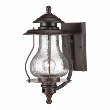 Blue Ridge 1 Light Outdoor Lantern Wall Sconce