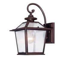 Salem 1 Light Outdoor Wall Sconce with Clear Seeded Glass