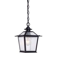 Salem 1 Light Outdoor Pendant with Clear Seeded Glass