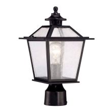 Salem 1 Light Post Lamp with Clear Seeded Glass