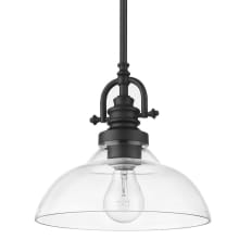 Virginia Single Light 9" Wide Pendant with Clear Glass Shade