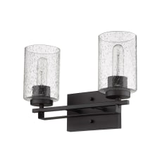 Orella 2 Light 15" Wide Vanity Light