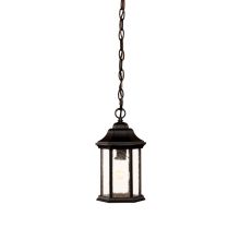 Madison 1 Light Outdoor Pendant with Clear Seeded Glass