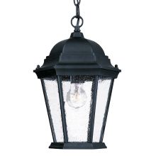 Richmond 1 Light Outdoor Pendant with Clear Beveled Glass