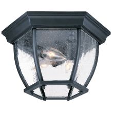 3 Light 11" Width Outdoor Flushmount Ceiling Fixture