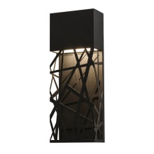 Boon Single Light 16" Tall LED Outdoor Wall Sconce