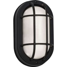 Cape Single Light 9" Tall LED Outdoor Wall Sconce