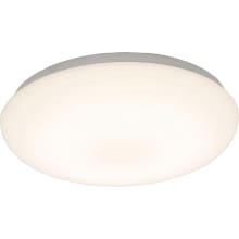 LED 11" Flush Mount Ceiling Fixture from the Camden Collection
