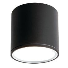 Everly 5" Tall LED Flush Mount Outdoor Ceiling Fixture